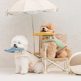Load image into Gallery viewer, Aqua Bear Life Vest
