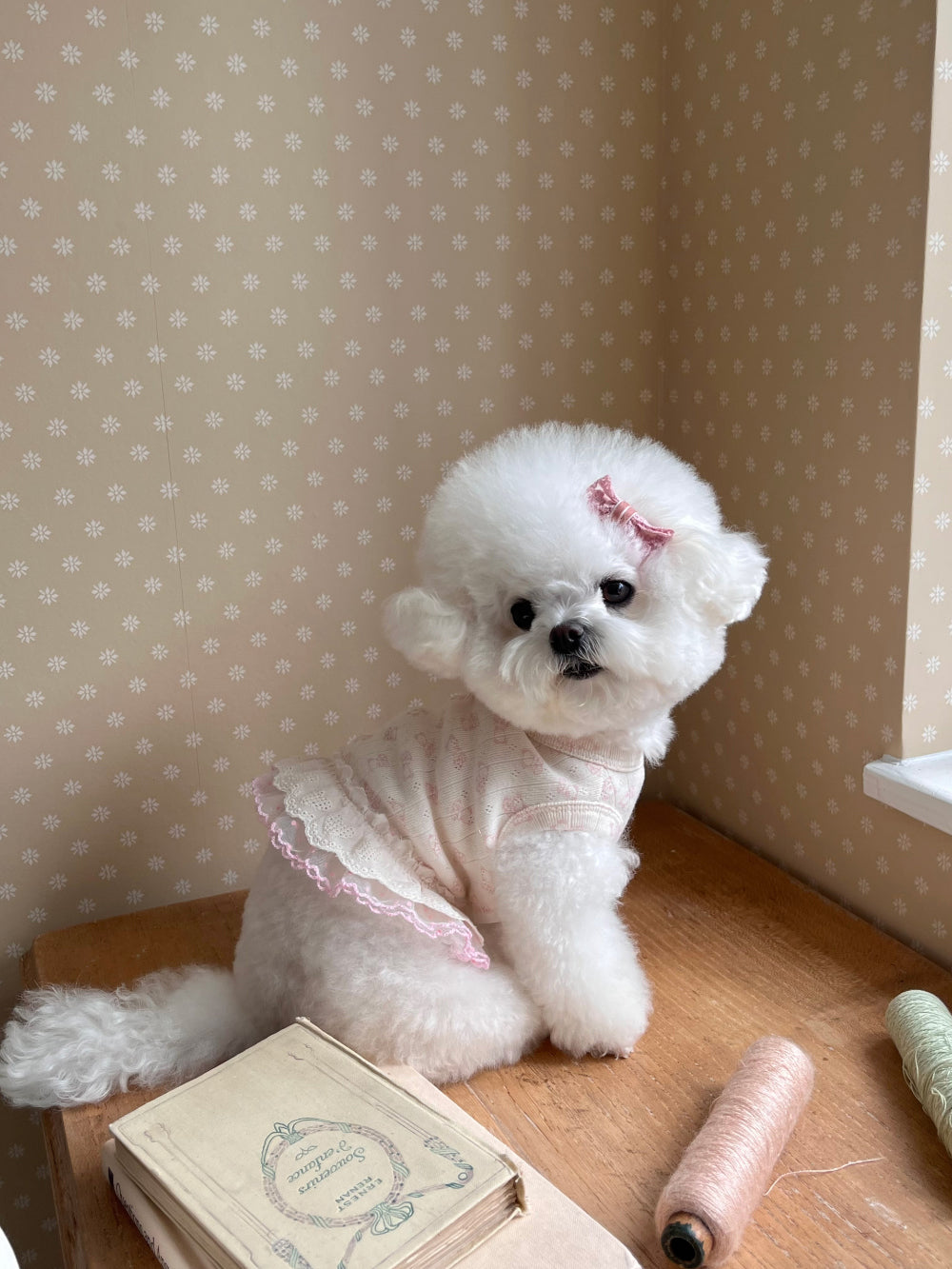 Nini Bear Sleeveless - Pink/Blue