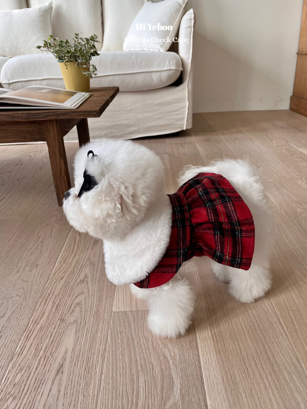 Isabella Check Cape