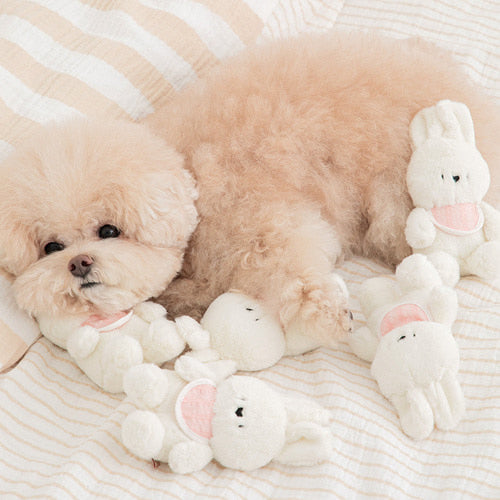 SSFW My Bestie Toy