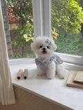 Load image into Gallery viewer, Bona Ribbon Ops - Blue
