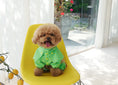 Load image into Gallery viewer, Check Cape Raincoat
