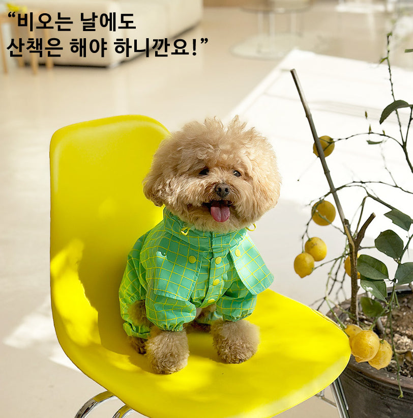 Check Cape Raincoat