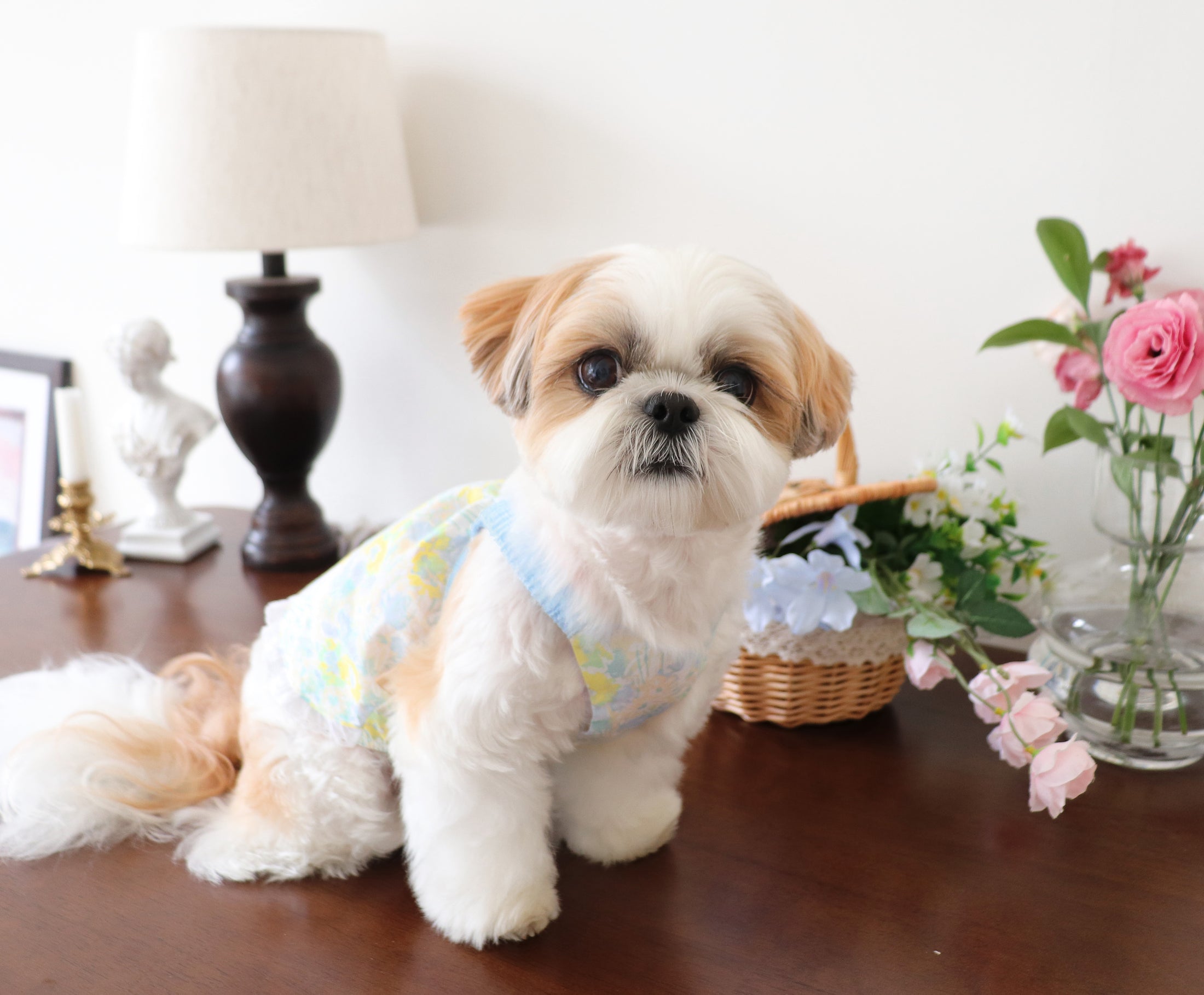 Flower Garden Top