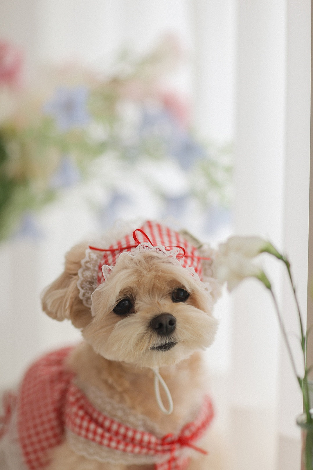 Love Letter Hairkerchief