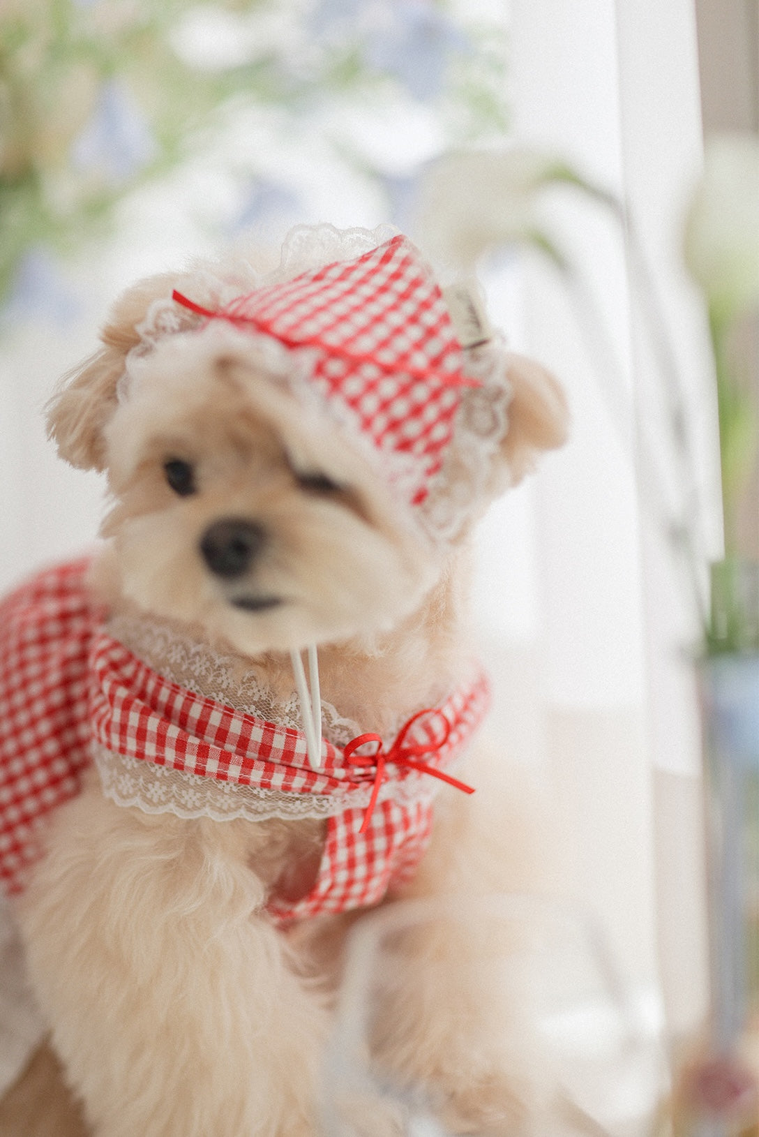 Love Letter Hairkerchief