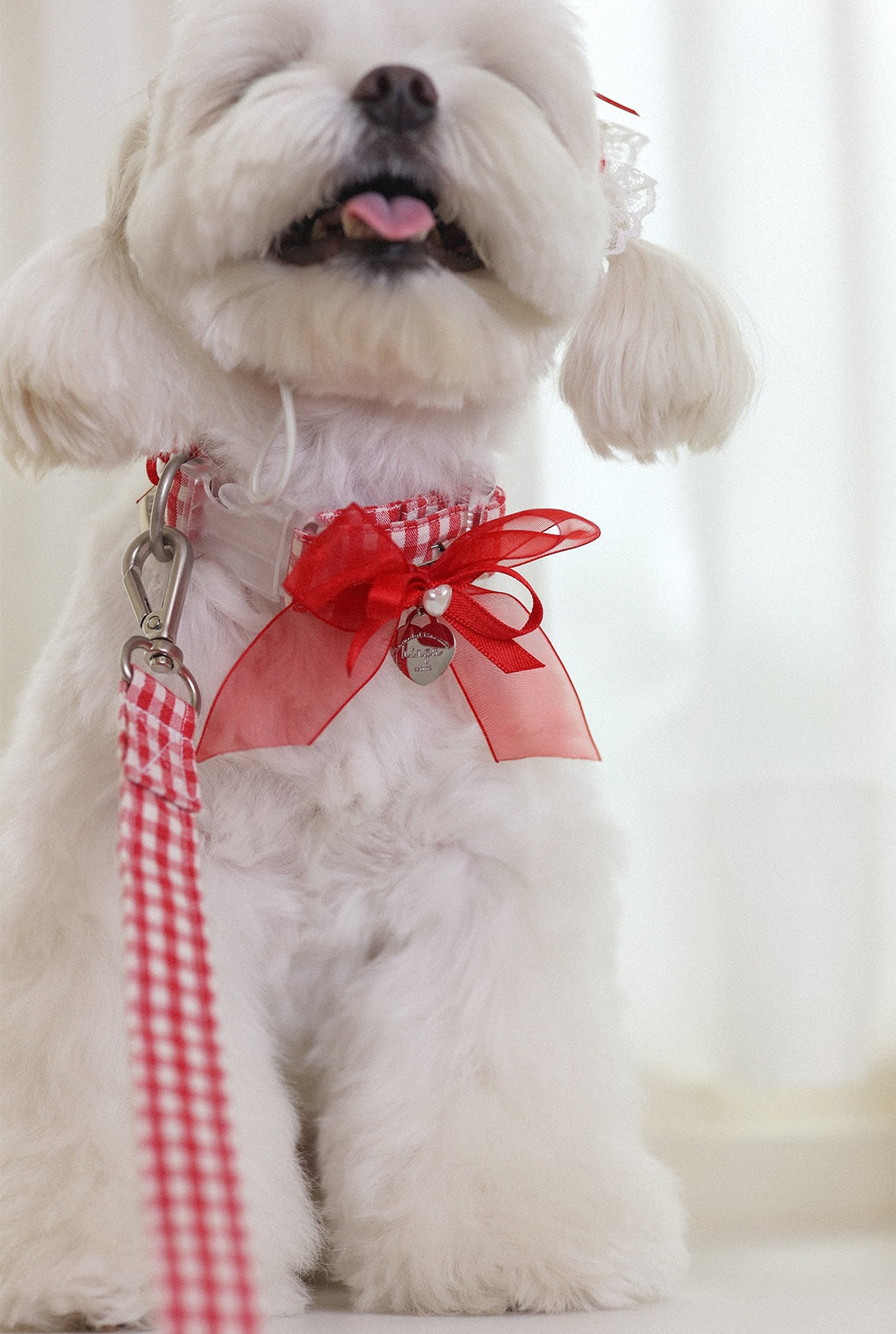 Love Letter Collar