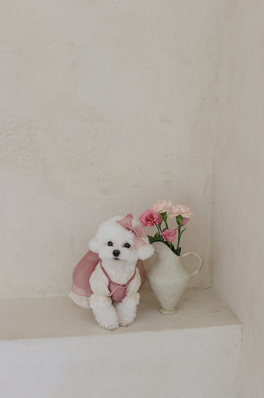 Petals In Watercolor Hanbok Hairpin