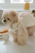 Load image into Gallery viewer, Maison De Monet Scarf Dress

