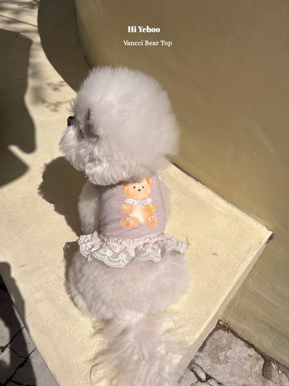 Vancci Bear Top - Beige