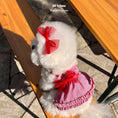 Load image into Gallery viewer, The Red Acc
