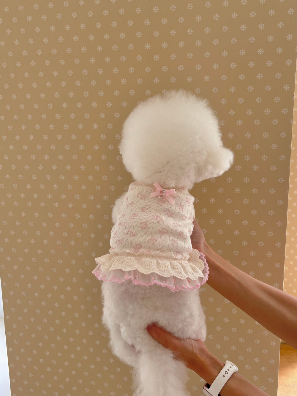 Nini Bear Sleeveless - Pink/Blue