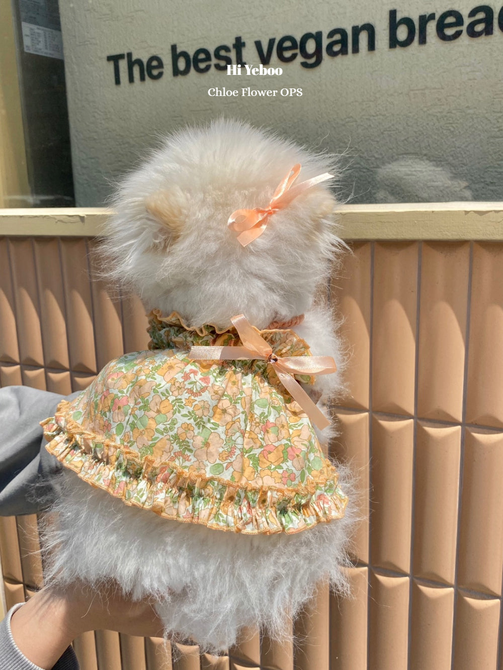Chloe Flower Ops - Orange