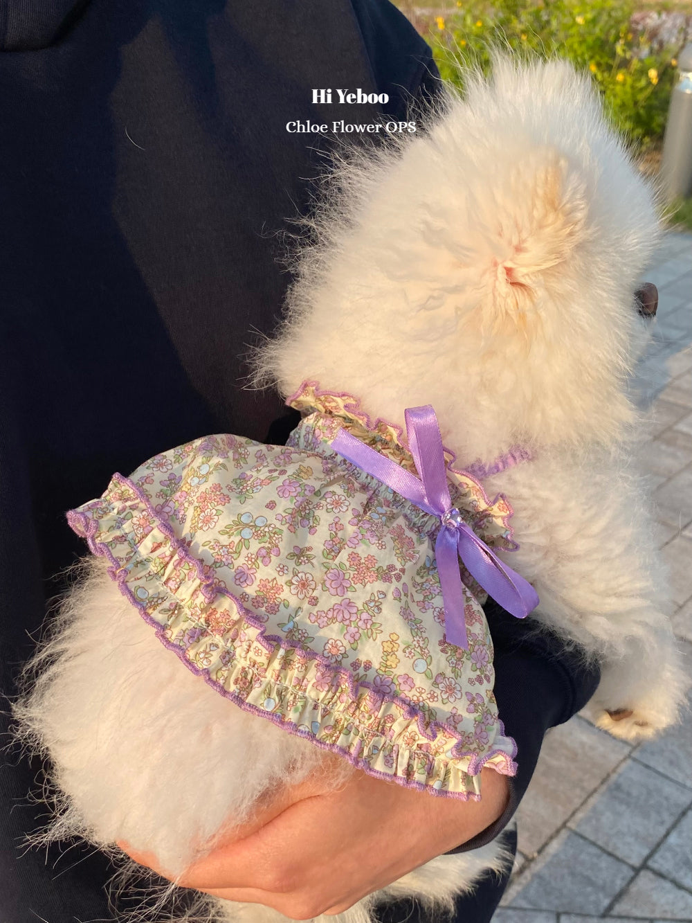 Chloe Flower Ops - Purple