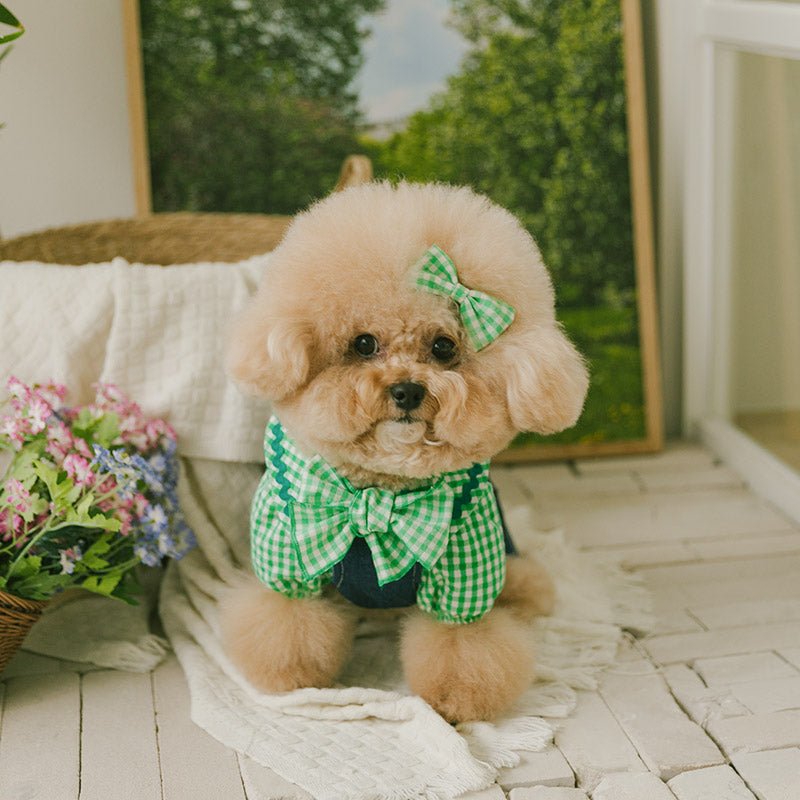 Spring Checkered Scarf