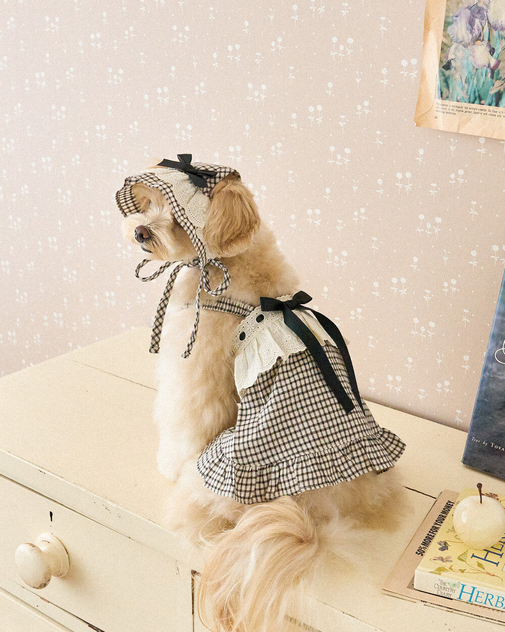 Bailey Check Ribbon Bonnet