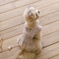 Load image into Gallery viewer, Benny Preppy Ops Pink
