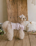 Load image into Gallery viewer, Benny Preppy Ops Pink
