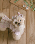 Load image into Gallery viewer, Benny Preppy Ops Pink

