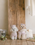 Load image into Gallery viewer, Benny Preppy Ops Pink
