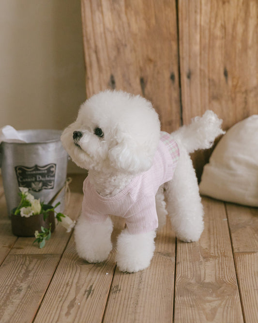 Benny Preppy T-shirt Pink