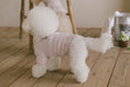 Load image into Gallery viewer, Benny Preppy T-shirt Pink

