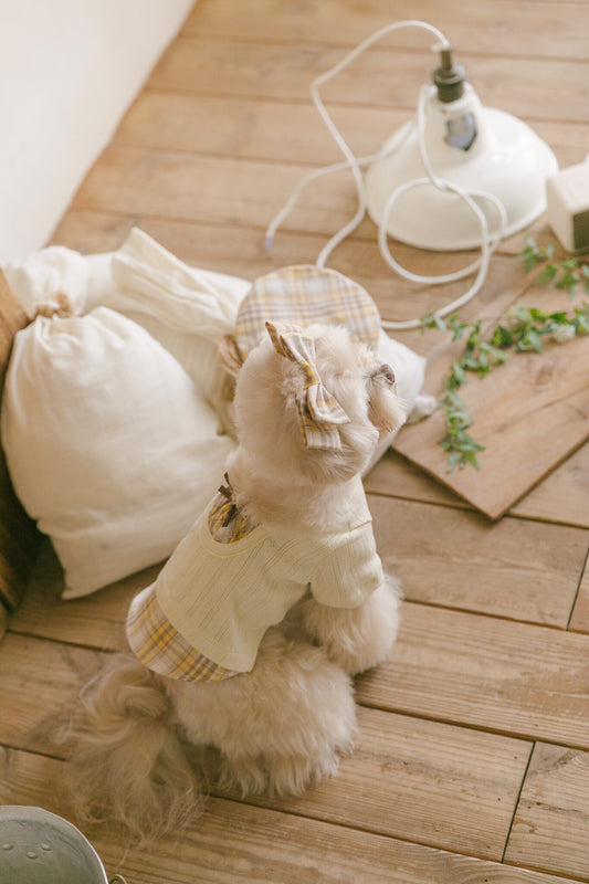 Benny Preppy T-shirt Butter Yellow