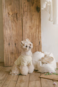 Load image into Gallery viewer, Benny Preppy T-shirt Butter Yellow
