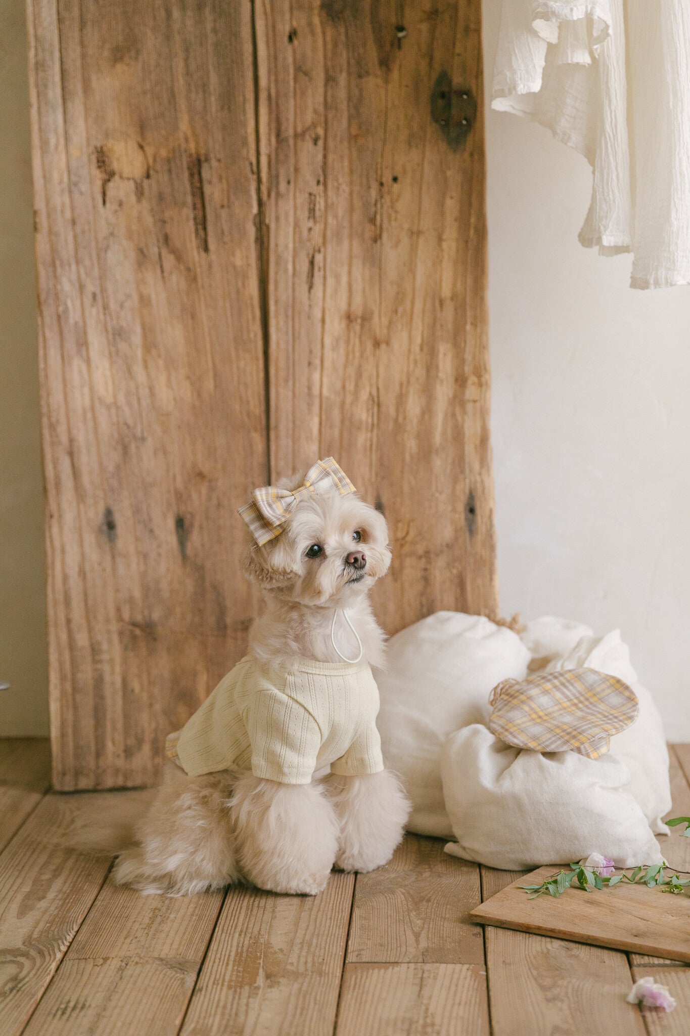 Benny Preppy T-shirt Butter Yellow