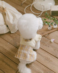 Load image into Gallery viewer, Benny Preppy Ops Butter Yellow
