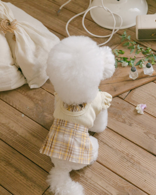 Benny Preppy Ops Butter Yellow