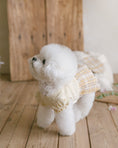 Load image into Gallery viewer, Benny Preppy Ops Butter Yellow

