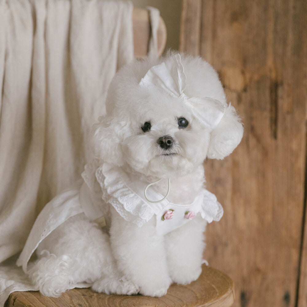 Apron Ribbon Hairband