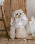 Load image into Gallery viewer, Apron Bunny Hat With Embroidery

