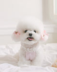 Load image into Gallery viewer, Sherbet Rose Ribbon Pin Baby Pink Pink (2pcs)
