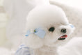 Load image into Gallery viewer, Sherbet Rose Ribbon Pin Soft Blue (2pcs)
