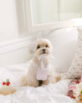 Load image into Gallery viewer, Sherbet Rose Bandana Baby Pink
