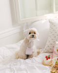 Load image into Gallery viewer, Sherbet Top Baby Pink
