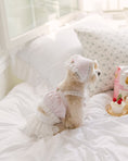 Load image into Gallery viewer, Sherbet Top Baby Pink
