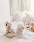 Load image into Gallery viewer, Sherbet Top Baby Pink
