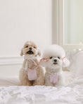 Load image into Gallery viewer, Sherbet Top Baby Pink
