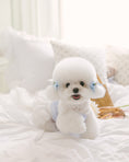 Load image into Gallery viewer, Sherbet Top Soft Blue
