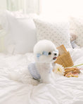 Load image into Gallery viewer, Sherbet Top Soft Blue
