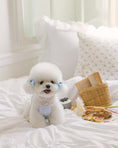 Load image into Gallery viewer, Sherbet Top Soft Blue

