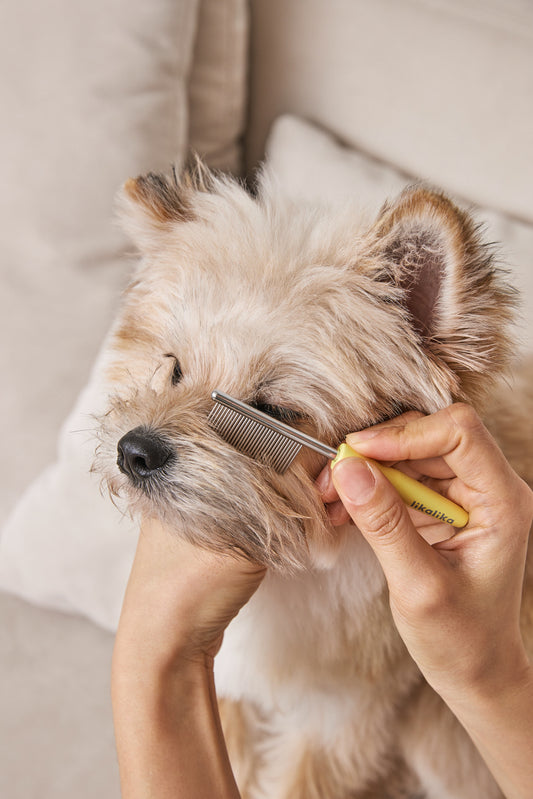 Sensible Face Comb