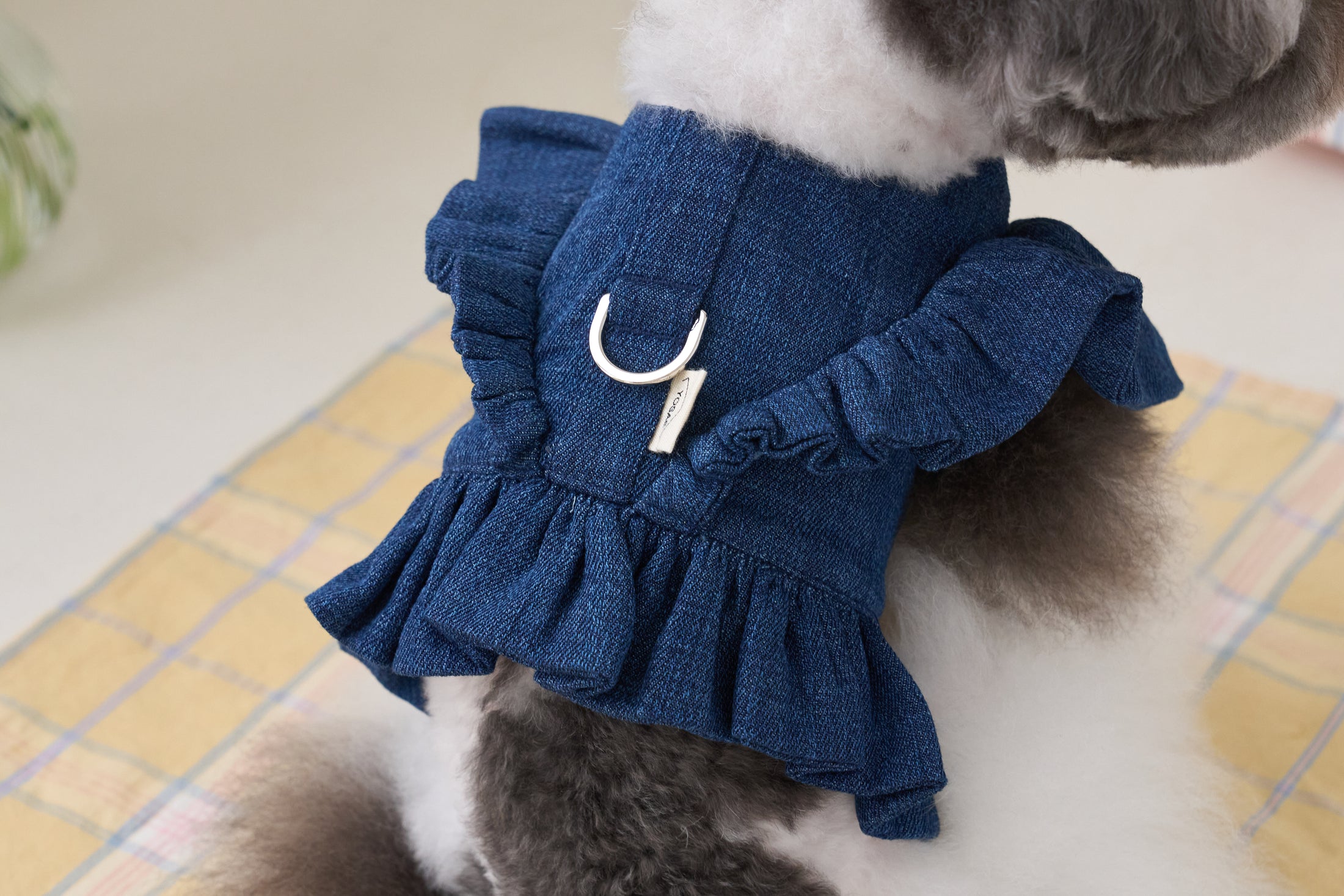 Cape Wing Denim Harness