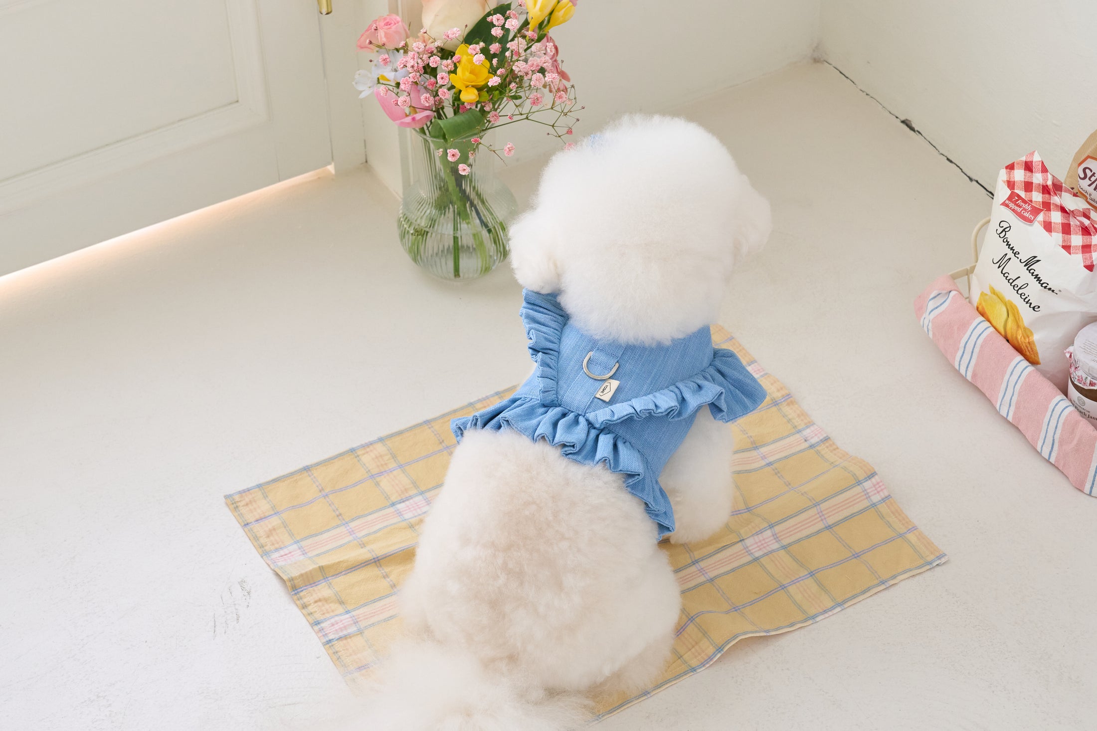 Cape Wing Denim Harness