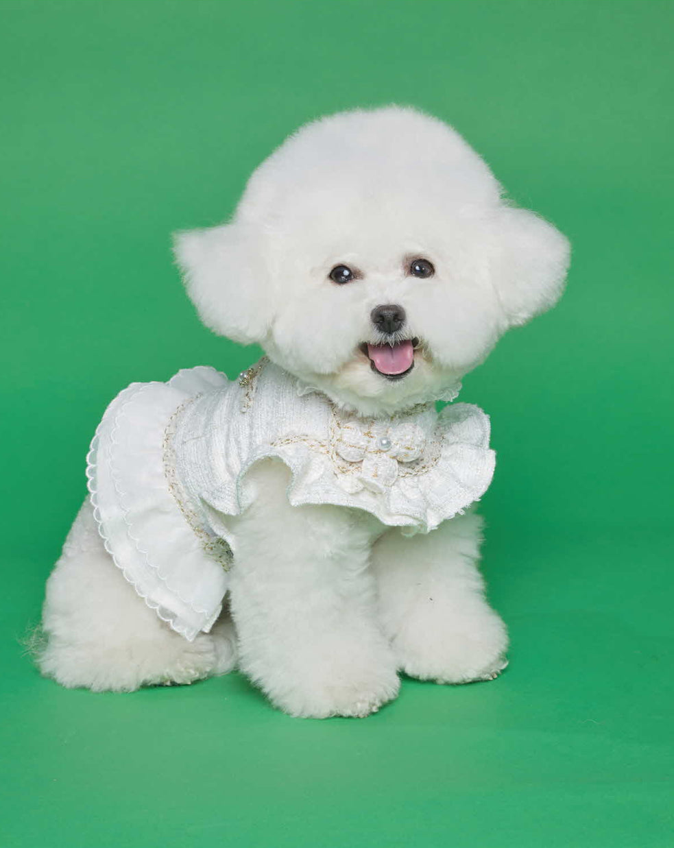 White Swan Tweed Top Harness