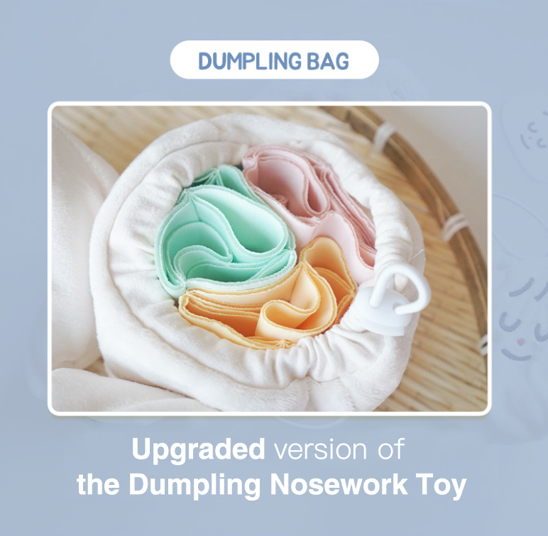 [Version 2] Dumpling Nosework Toy