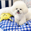 Hug Me Snuggle Cushion (Check design)